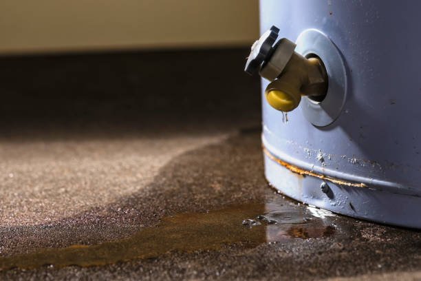 Best Mold removal after water damage  in Postville, IA