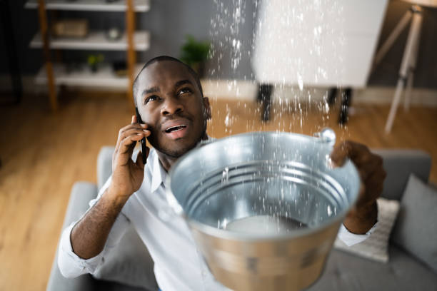Best Basement water damage restoration  in Postville, IA