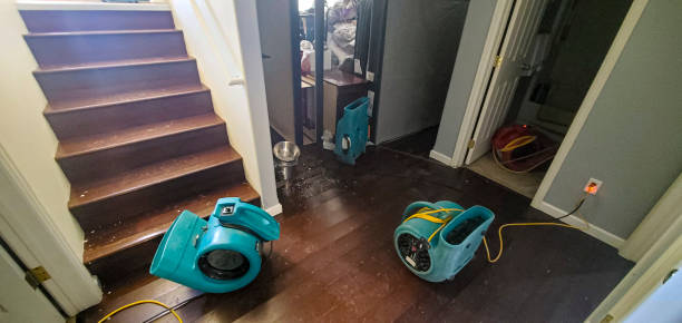 Best Fire Damage Restoration  in Postville, IA