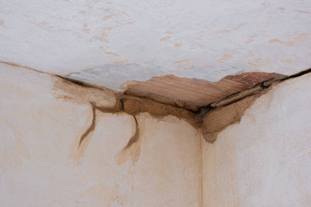 Best Flood restoration services  in Postville, IA