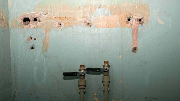 Best Carpet water damage restoration  in Postville, IA